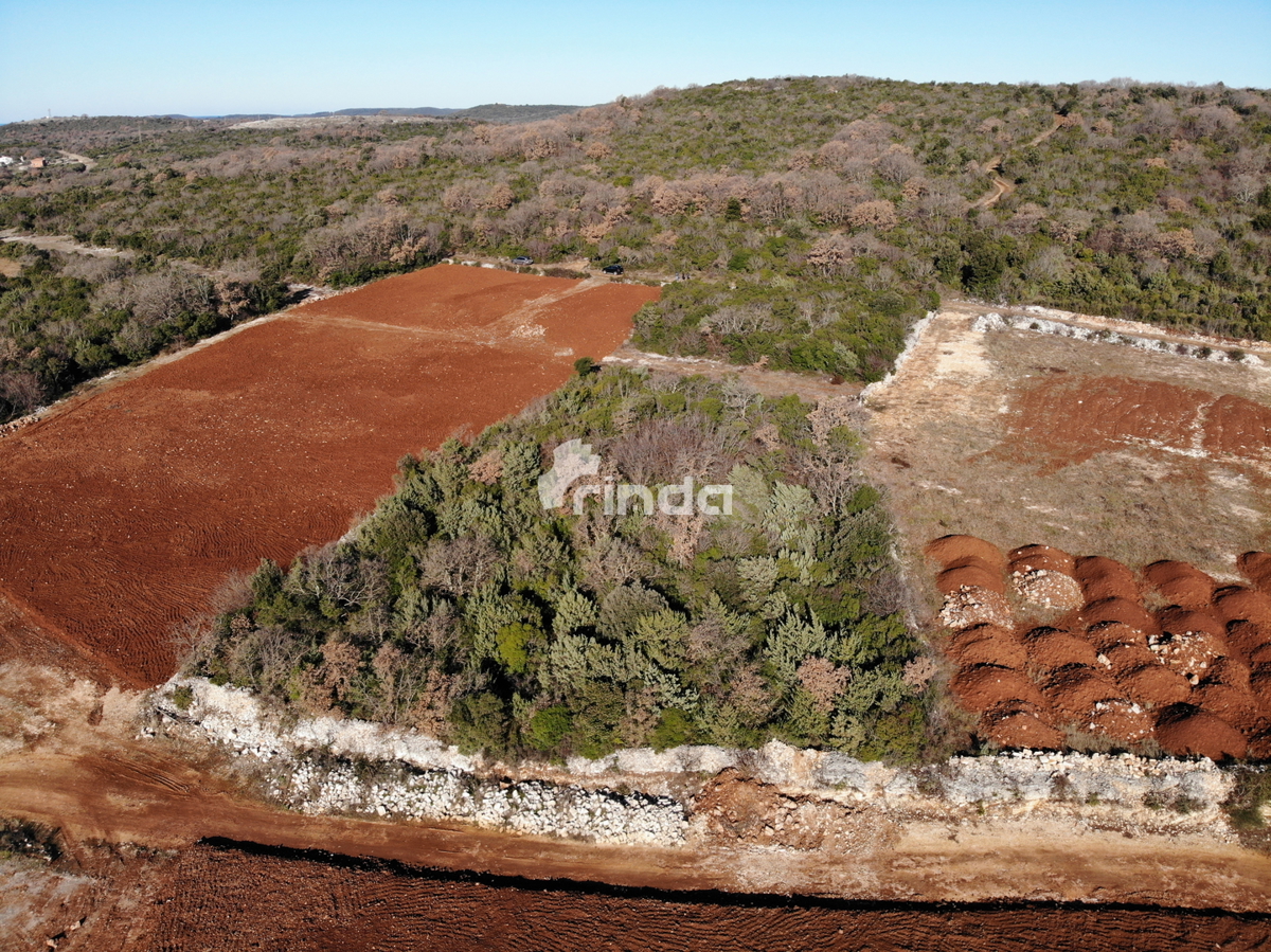 Complesso di terreni agricoli con vista sul mare - Esclusiva