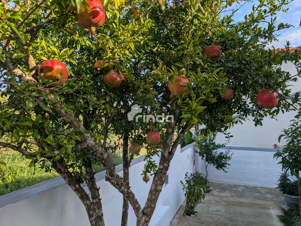 Casa - Ližnjan - Marlera - 80m2 (200m2 di terreno)