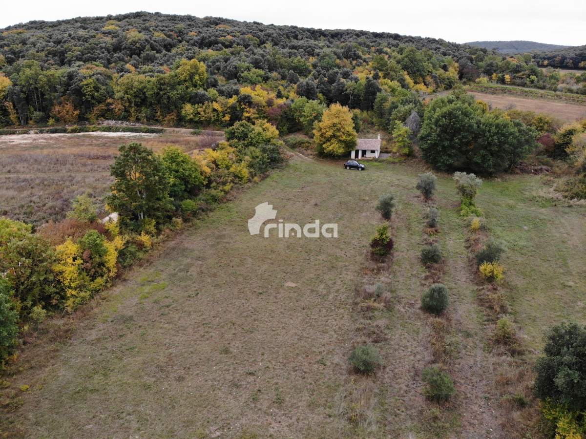 Terreno con casa legalizzata - 30.000m2 + (37m2)