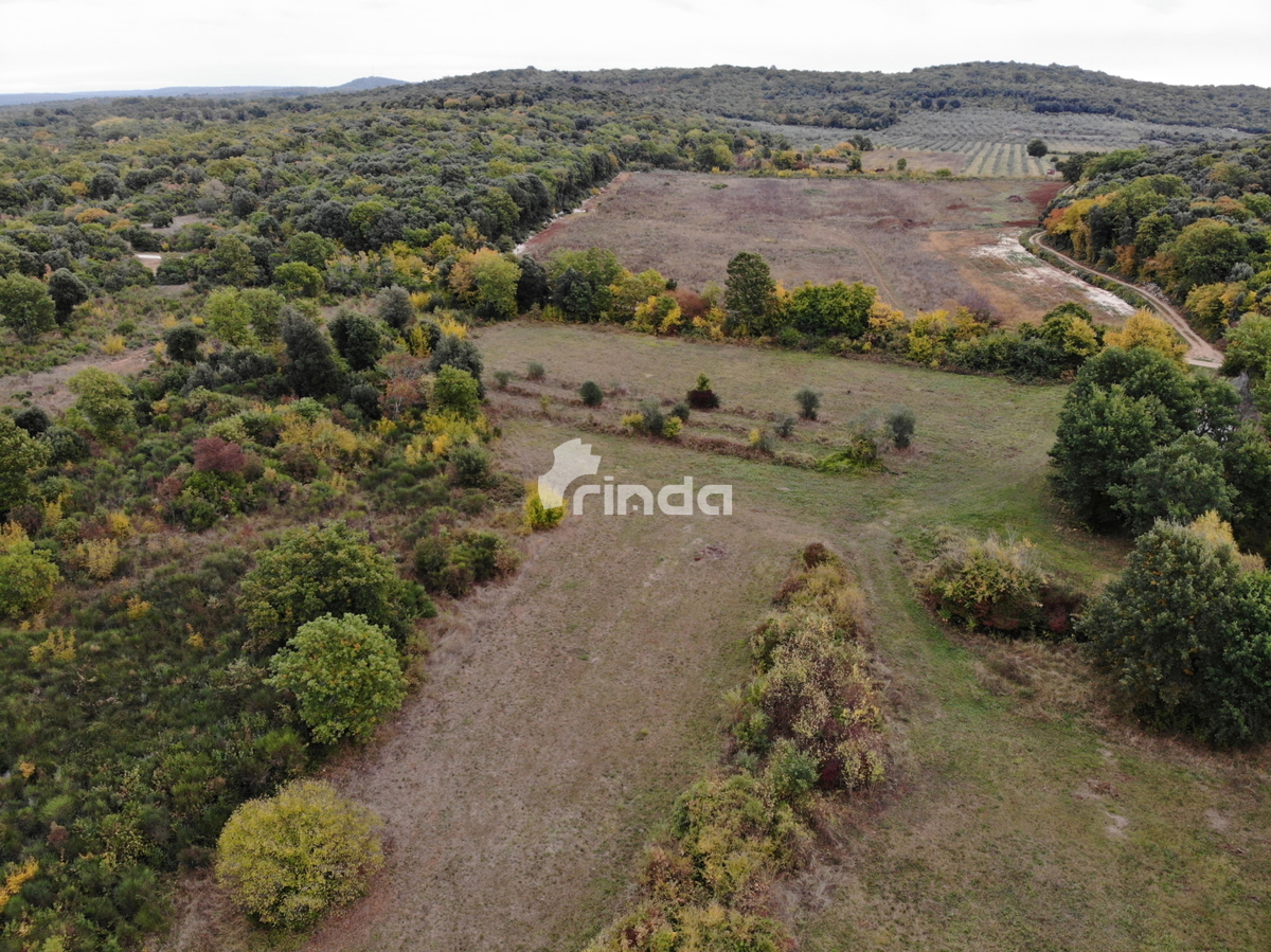 Terreno con casa legalizzata - 30.000m2 + (37m2)