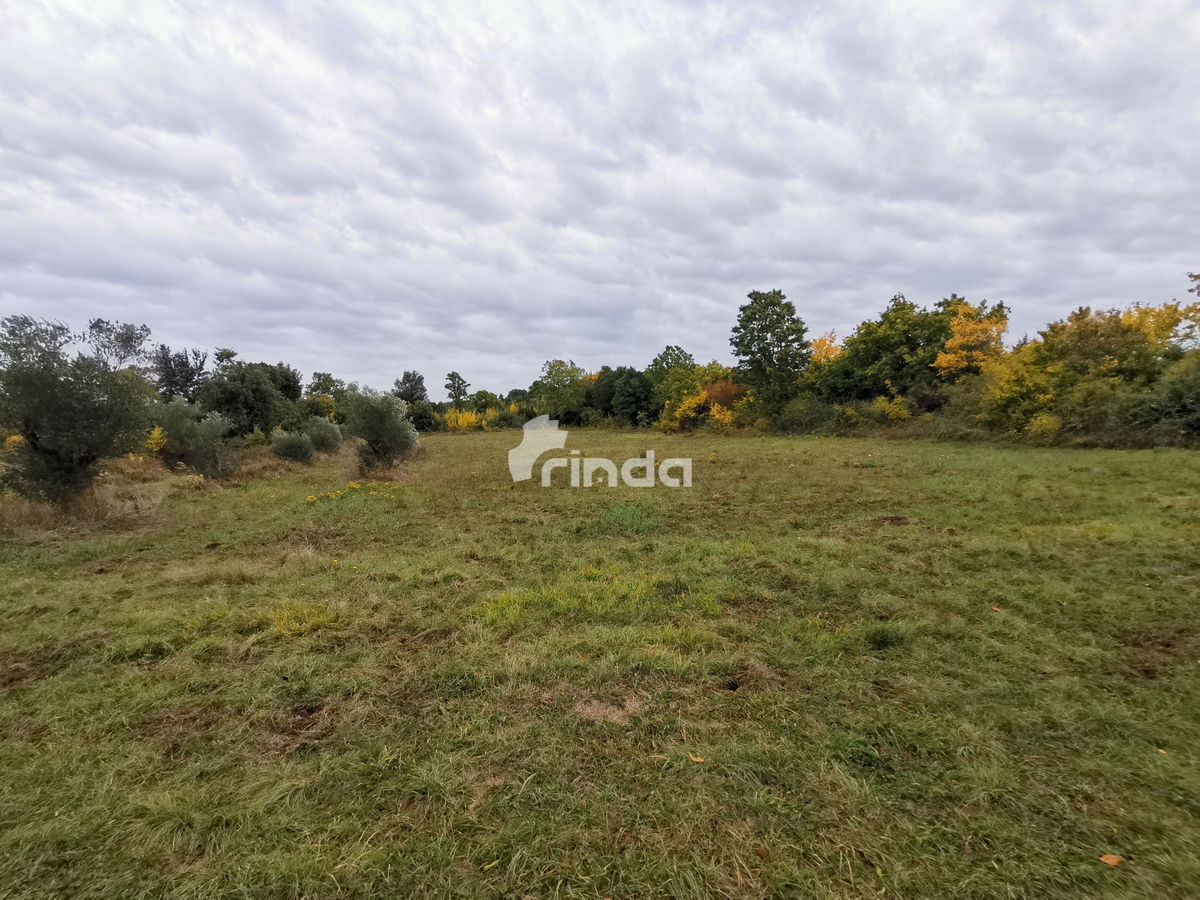 Terreno con casa legalizzata - 30.000m2 + (37m2)