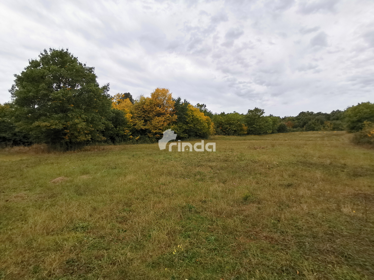 Terreno con casa legalizzata - 30.000m2 + (37m2)