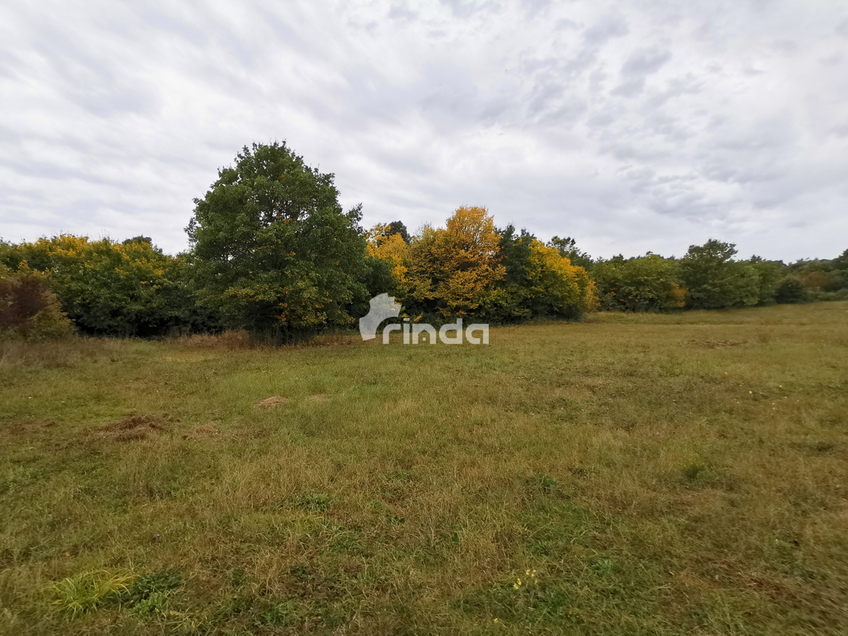 Terreno con casa legalizzata - 30.000m2 + (37m2)