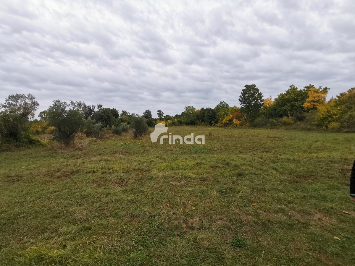 Terreno con casa legalizzata - 30.000m2 + (37m2)