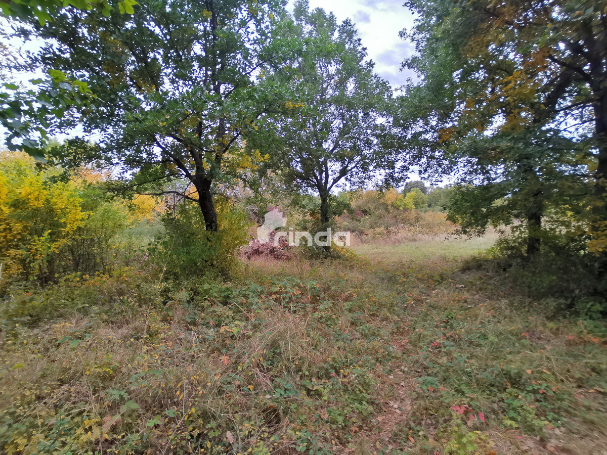 Terreno con casa legalizzata - 30.000m2 + (37m2)