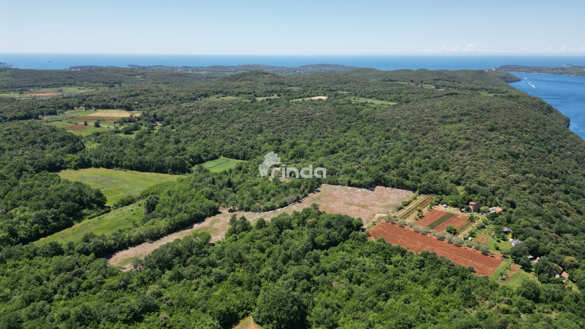 Tenuta agricola, seconda fila al mare - Fiordo di Leme - Rovigno - 10.038 m2