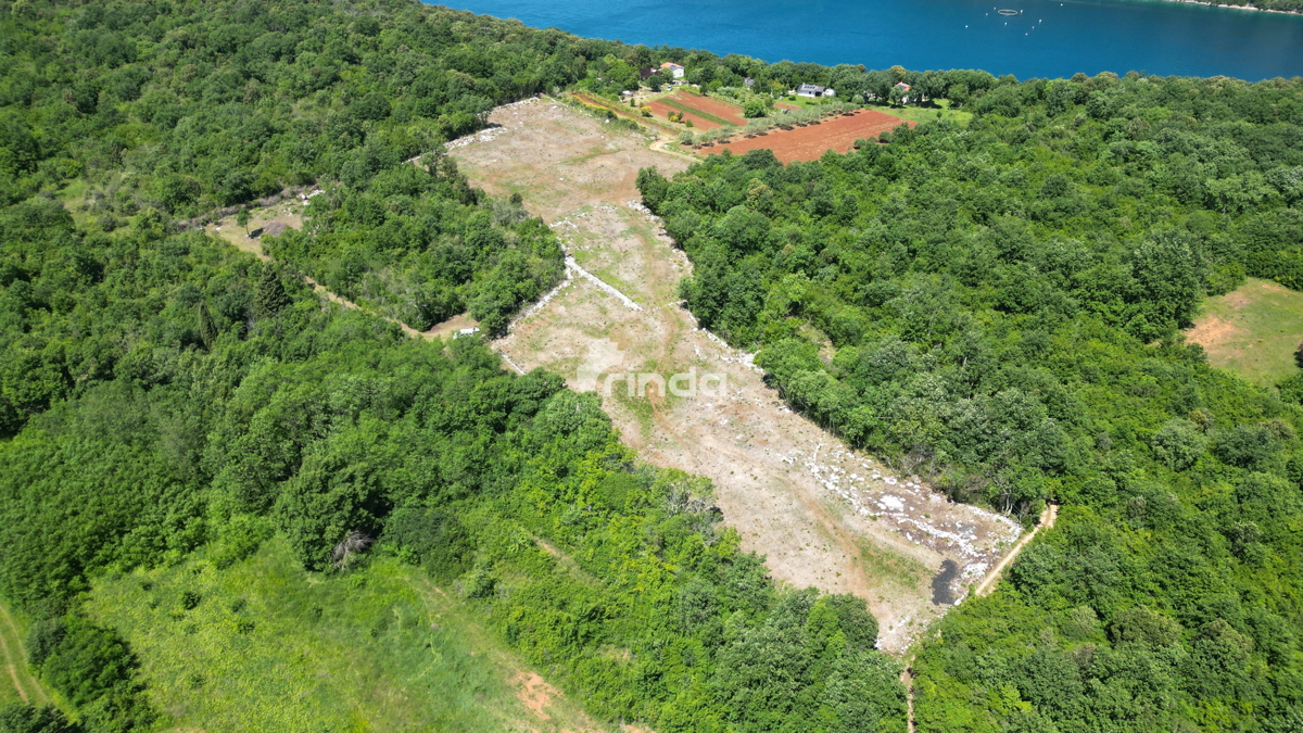 Tenuta agricola, seconda fila al mare - Fiordo di Leme - Rovigno - 10.038 m2