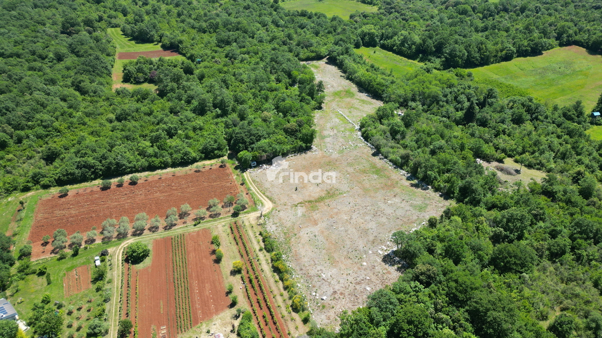 Tenuta agricola, seconda fila al mare - Fiordo di Leme - Rovigno - 10.038 m2