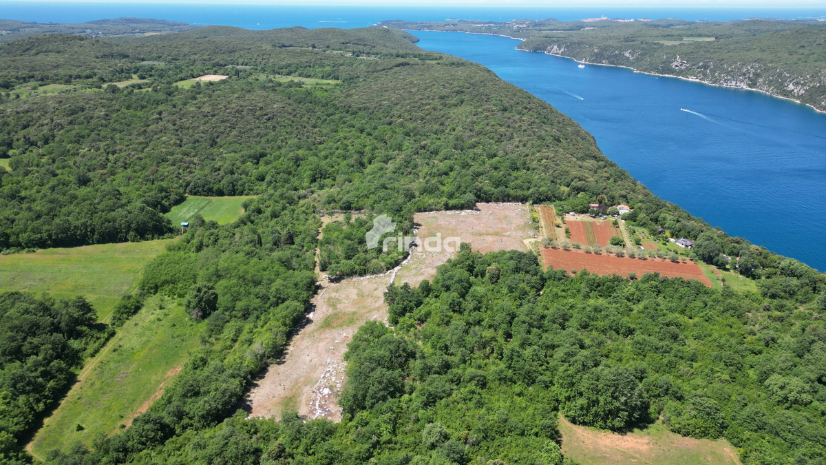 Tenuta agricola, seconda fila al mare - Fiordo di Leme - Rovigno - 10.038 m2