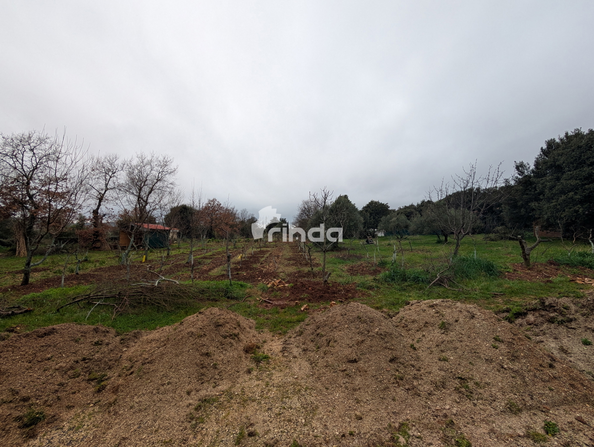 Tenuta - Rovinj - 11.000m2 - elettricità + acqua + fognatura