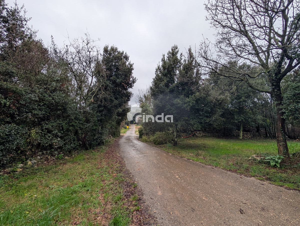 Tenuta - Rovinj - 11.000m2 - elettricità + acqua + fognatura