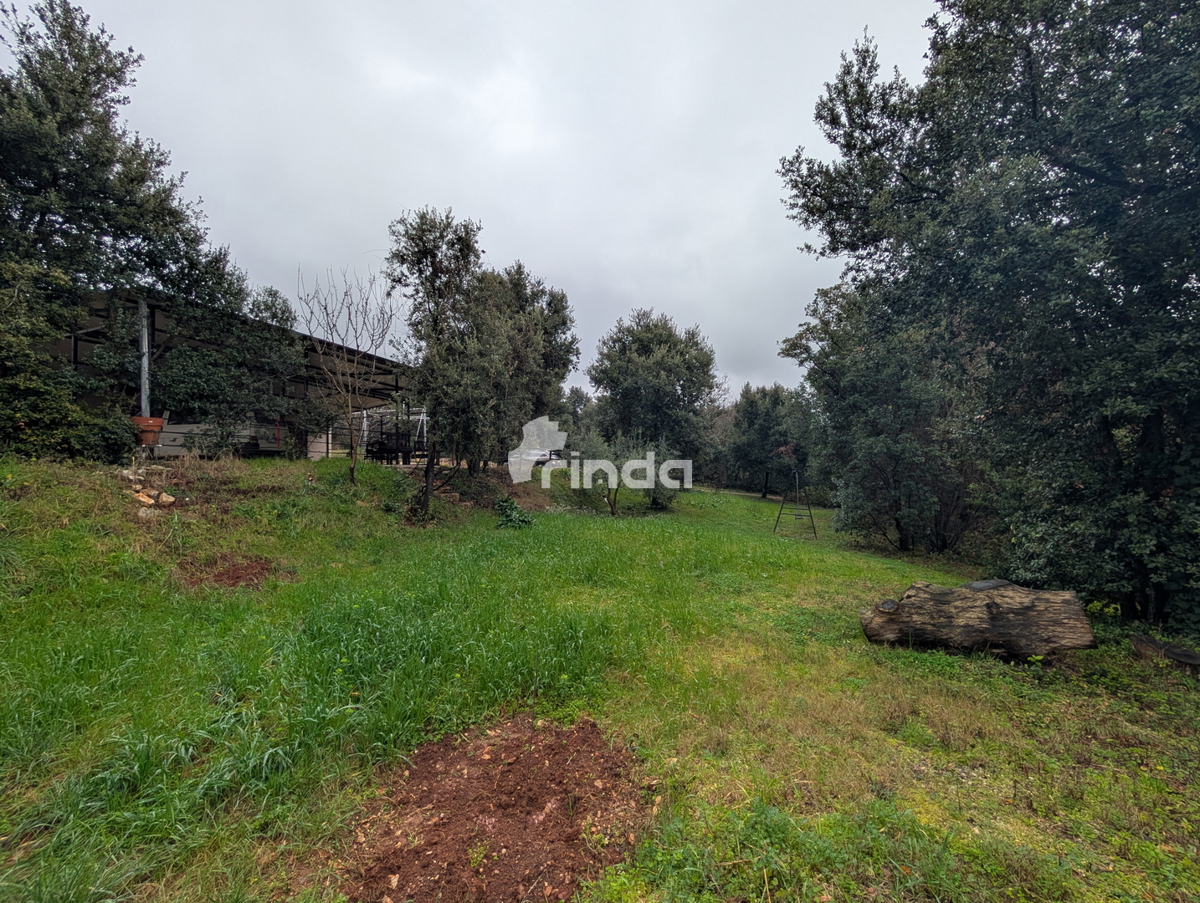 Tenuta - Rovinj - 11.000m2 - elettricità + acqua + fognatura