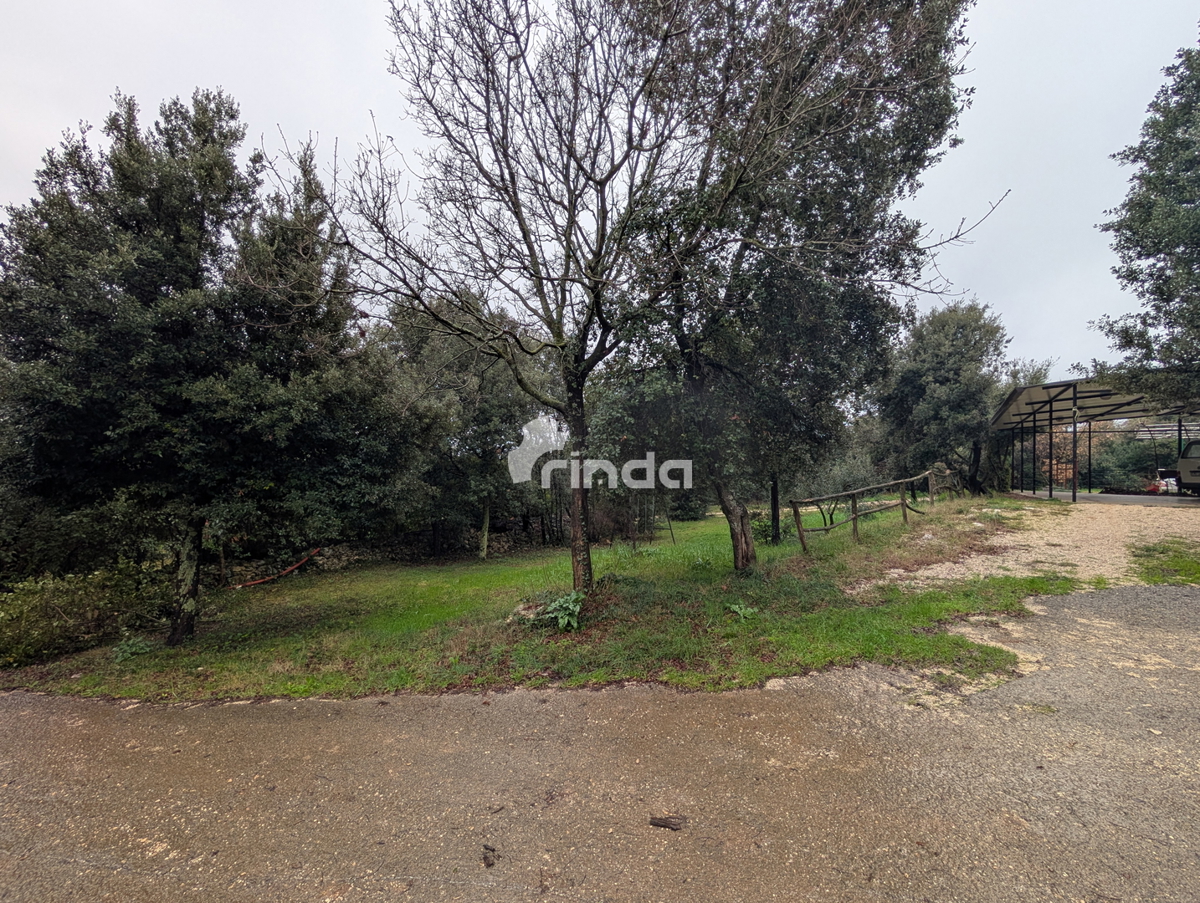 Tenuta - Rovinj - 11.000m2 - elettricità + acqua + fognatura