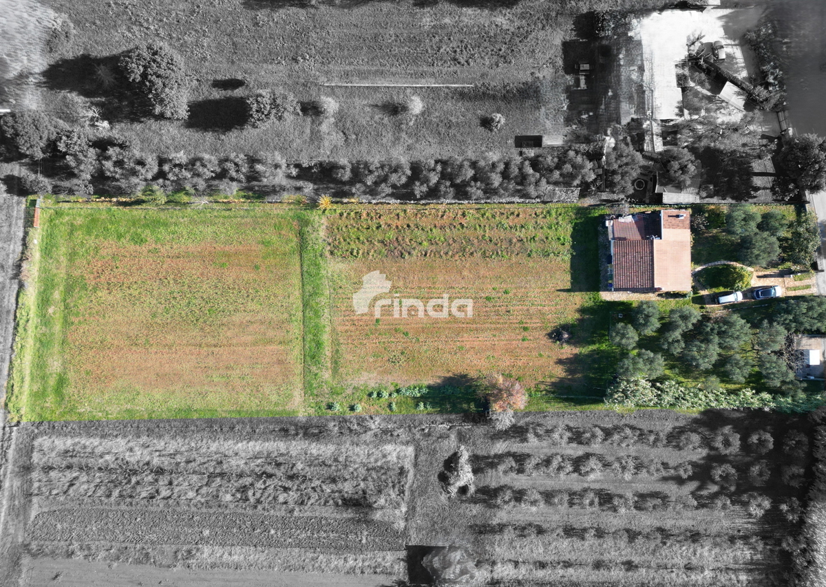 Grande proprietà nella periferia di Rovigno - 125m2 + (4550m2)