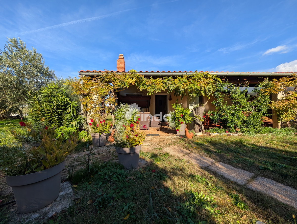 Grande proprietà nella periferia di Rovigno - 125m2 + (4550m2)