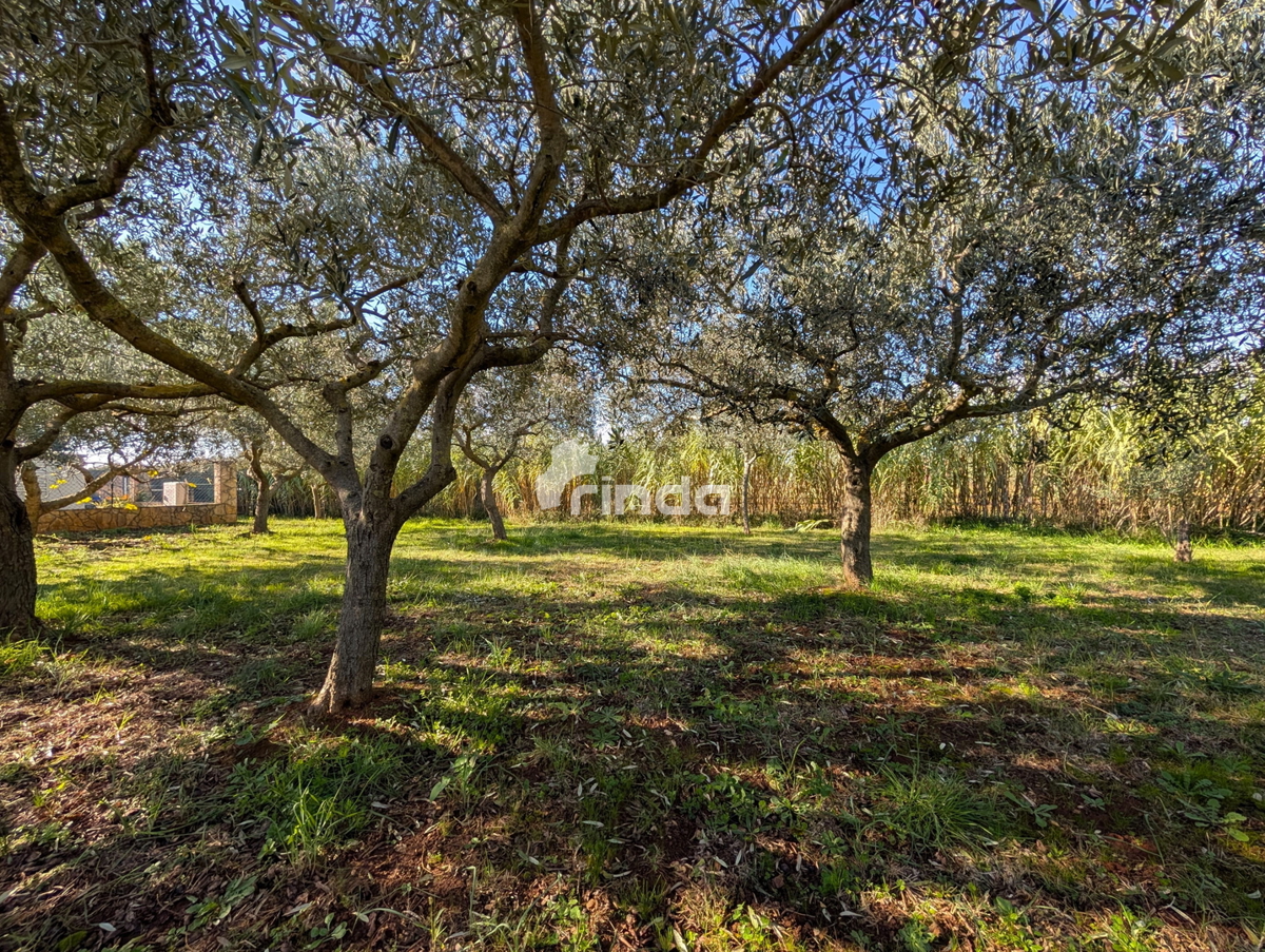 Grande proprietà nella periferia di Rovigno - 125m2 + (4550m2)