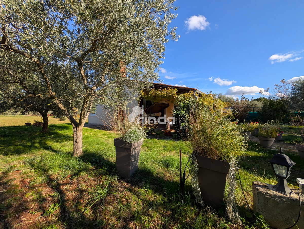 Grande proprietà nella periferia di Rovigno - 125m2 + (4550m2)