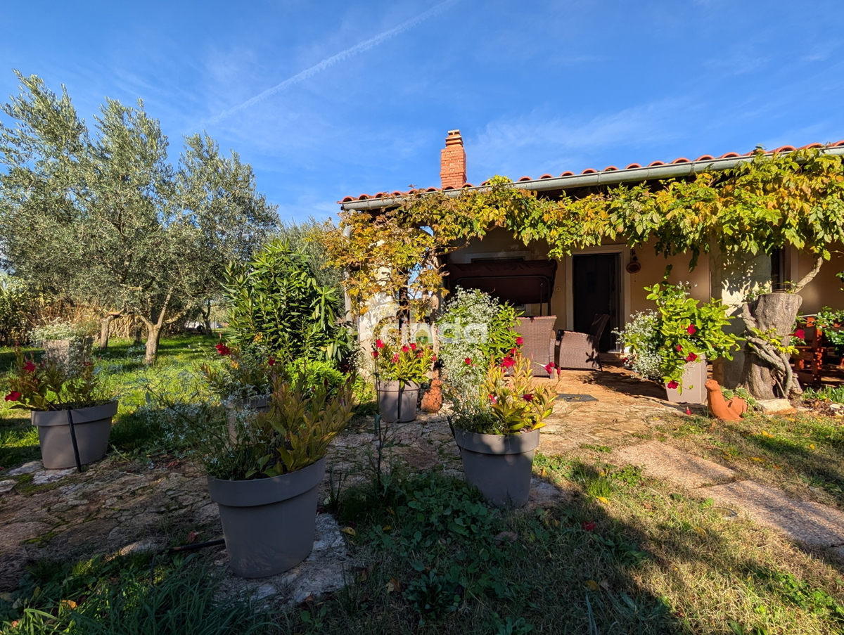 Grande proprietà nella periferia di Rovigno - 125m2 + (4550m2)