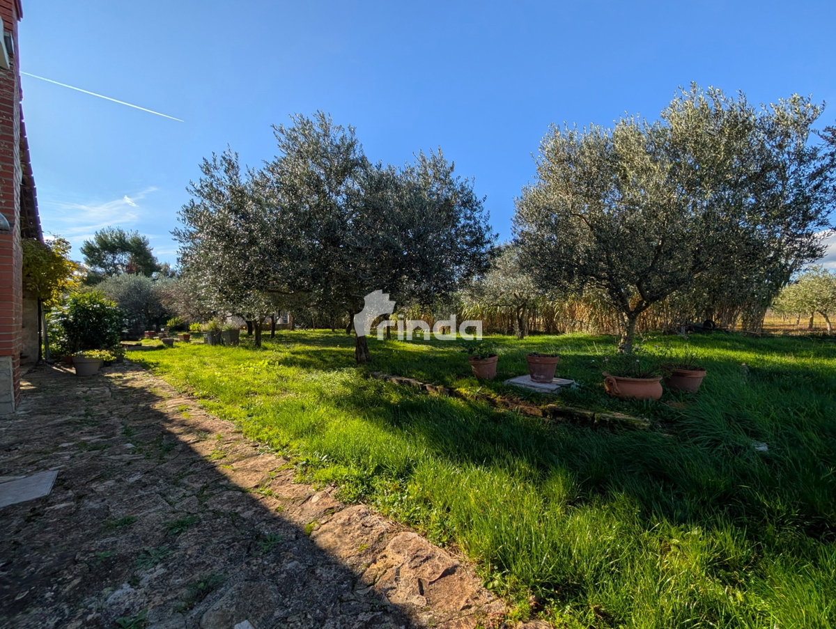 Grande proprietà nella periferia di Rovigno - 125m2 + (4550m2)