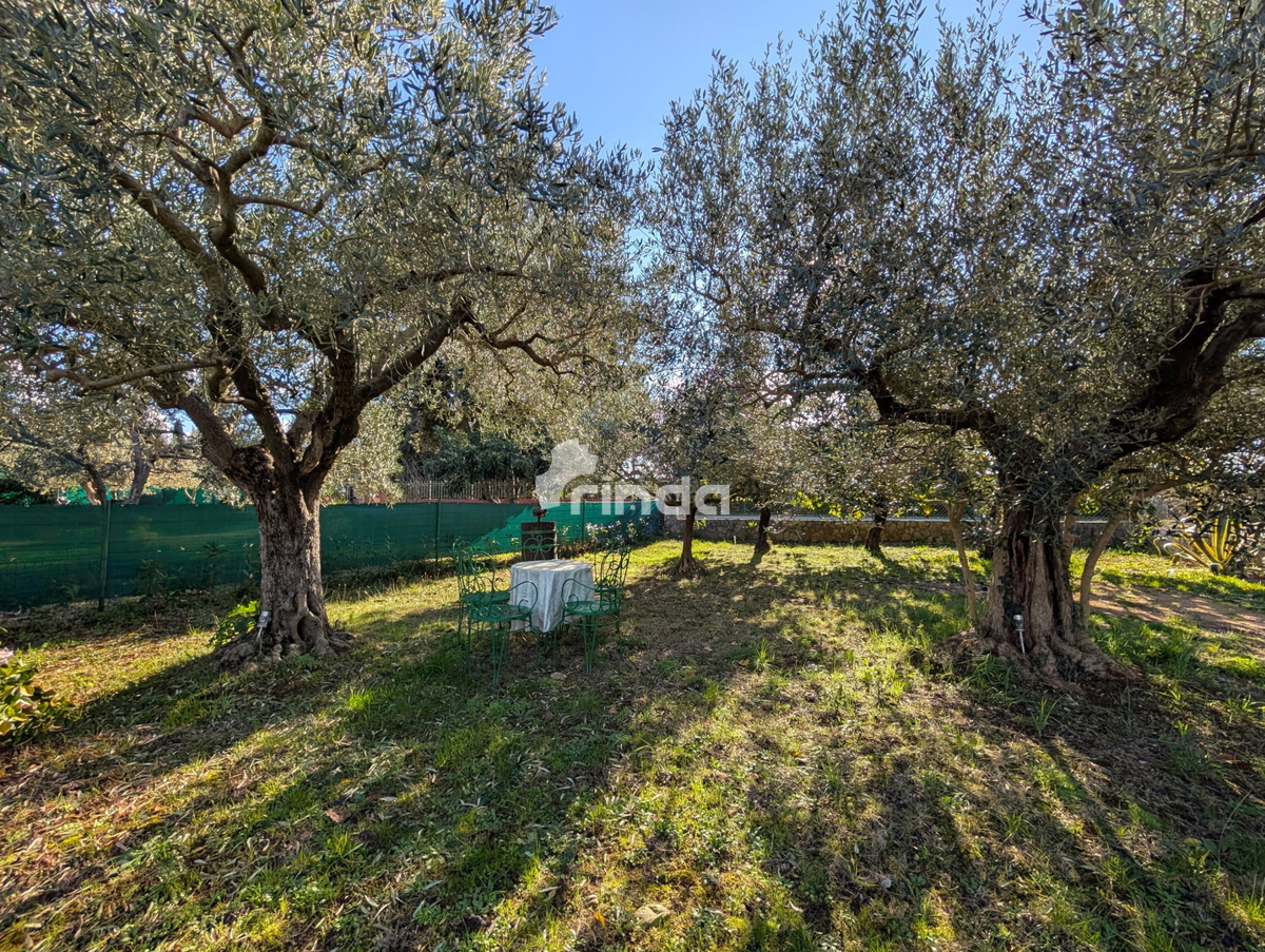 Grande proprietà nella periferia di Rovigno - 125m2 + (4550m2)