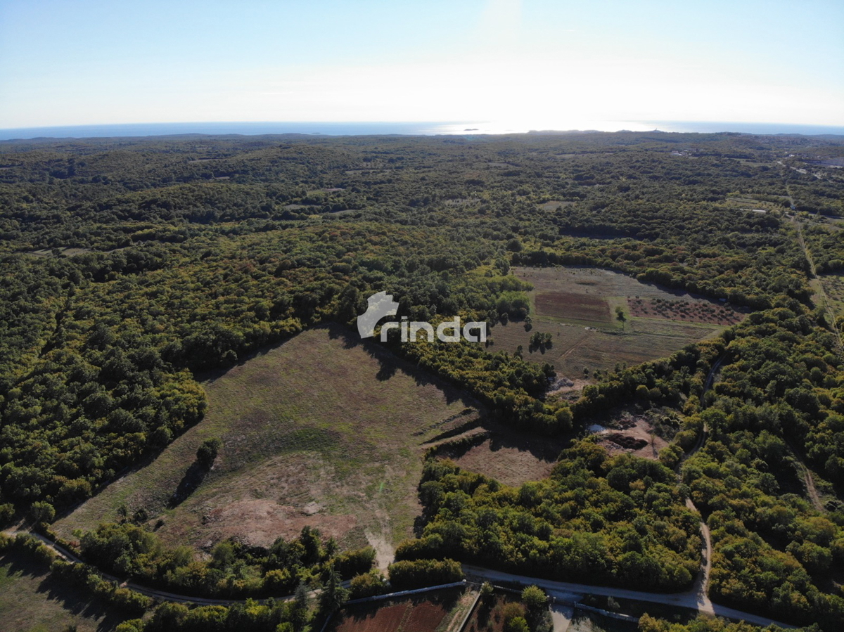 Grande complesso di terreni agricoli vicino a Rovigno - Valle di Nohar - Kurili - 20,667m2