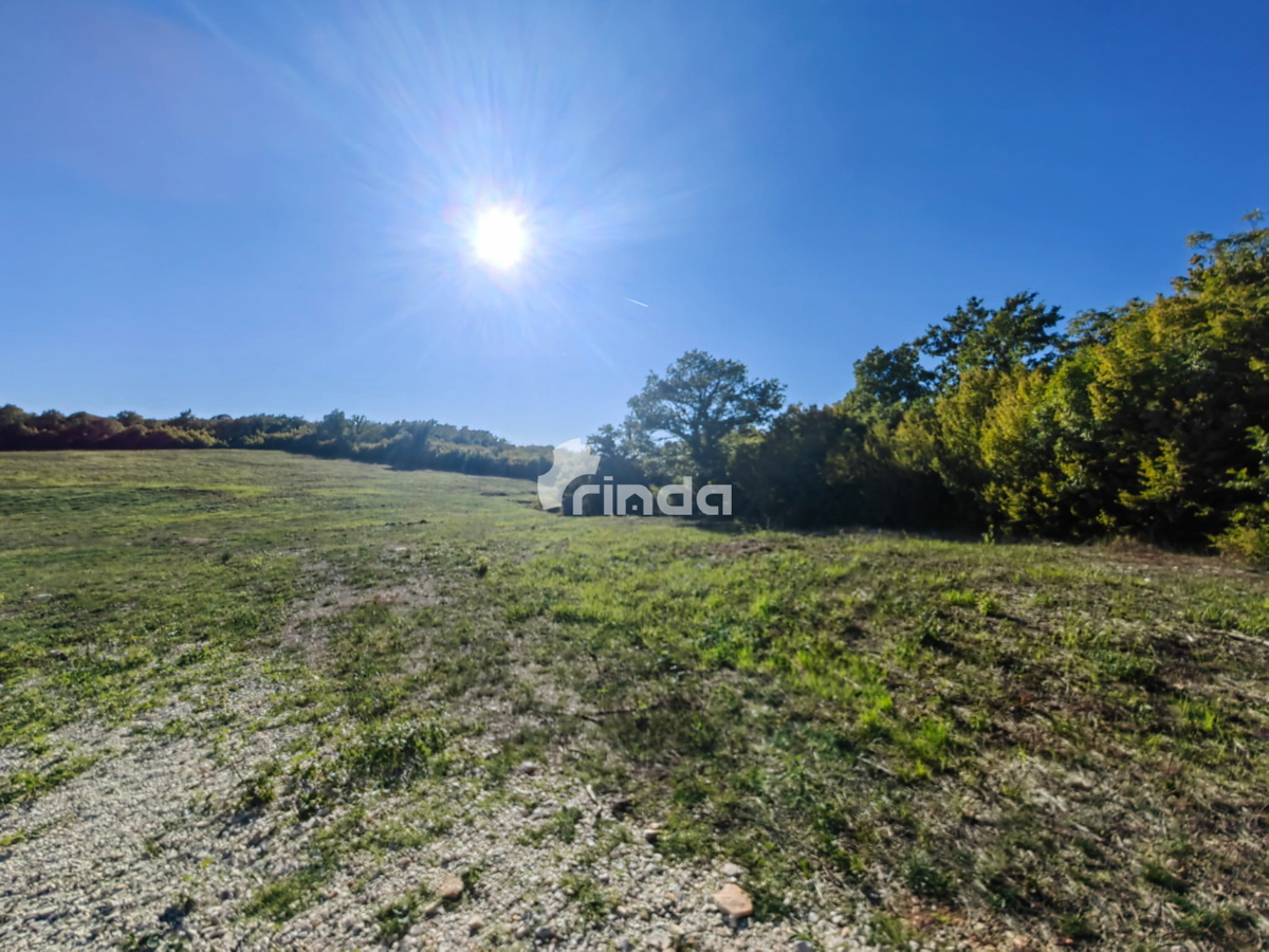 Grande complesso di terreni agricoli vicino a Rovigno - Valle di Nohar - Kurili - 20,667m2