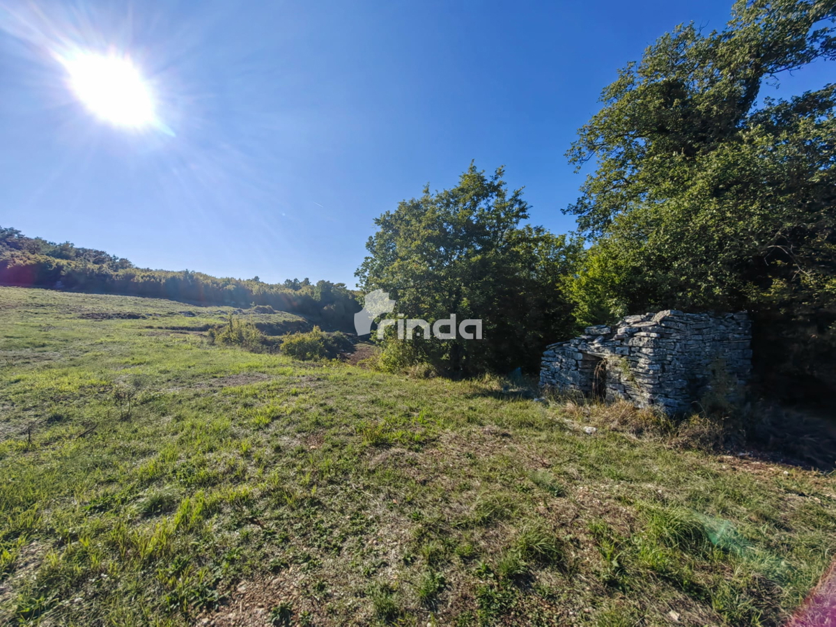 Grande complesso di terreni agricoli vicino a Rovigno - Valle di Nohar - Kurili - 20,667m2