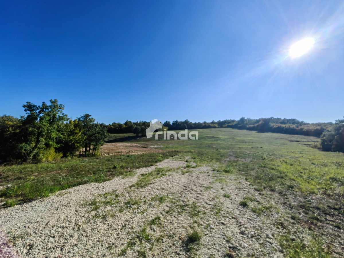 Grande complesso di terreni agricoli vicino a Rovigno - Valle di Nohar - Kurili - 20,667m2