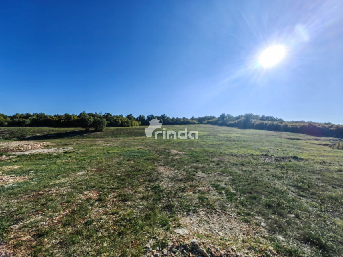 Grande complesso di terreni agricoli vicino a Rovigno - Valle di Nohar - Kurili - 20,667m2