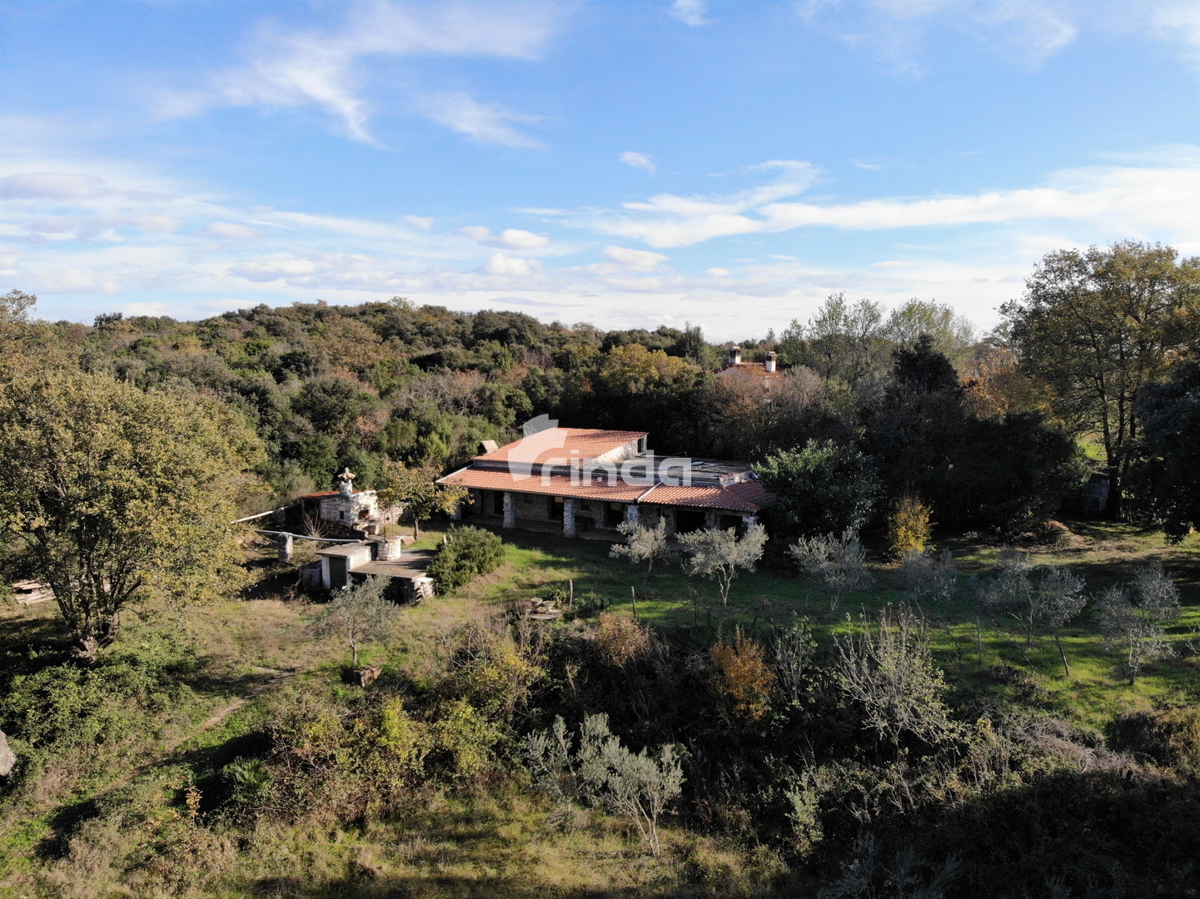 Casa legalizzata su terreno agricolo - Rovigno - 200m2 + (3000m2)- Prezzo ridotto