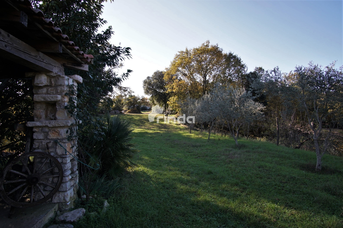 Casa legalizzata su terreno agricolo - Rovigno - 200m2 + (3000m2)- Prezzo ridotto