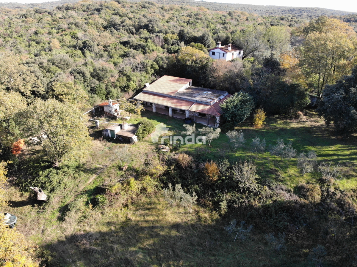 Casa legalizzata su terreno agricolo - Rovigno - 200m2 + (3000m2)- Prezzo ridotto