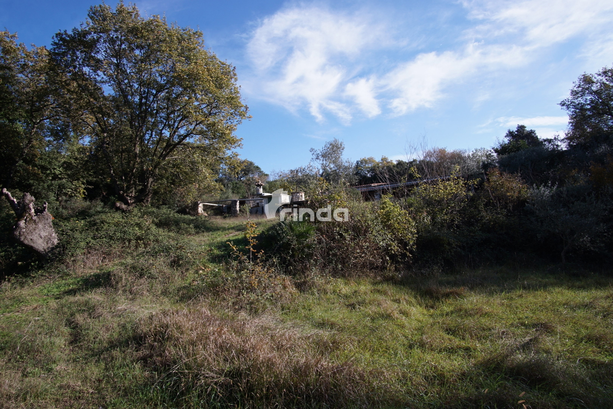 Casa legalizzata su terreno agricolo - Rovigno - 200m2 + (3000m2)- Prezzo ridotto