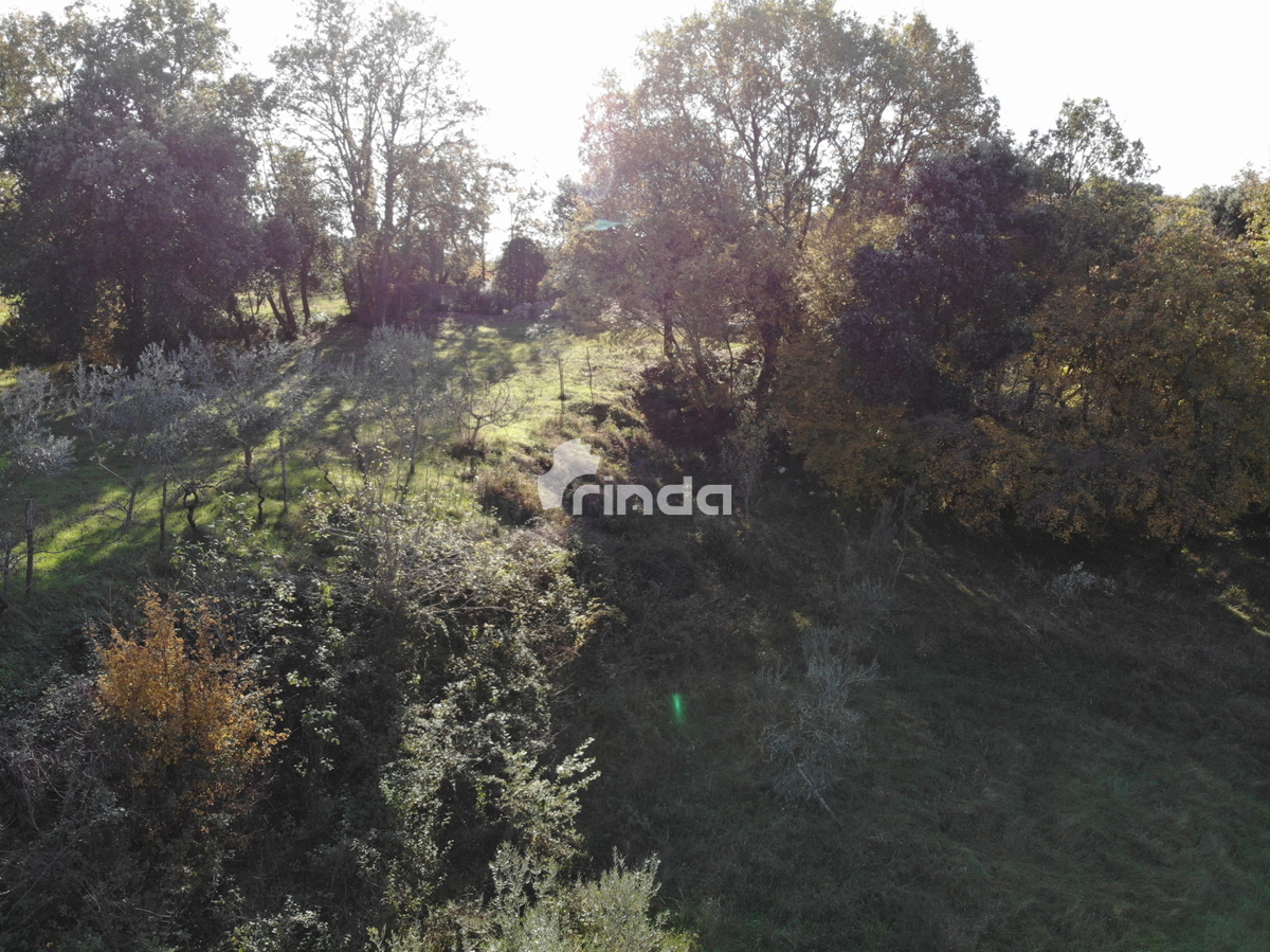 Casa legalizzata su terreno agricolo - Rovigno - 200m2 + (3000m2)- Prezzo ridotto