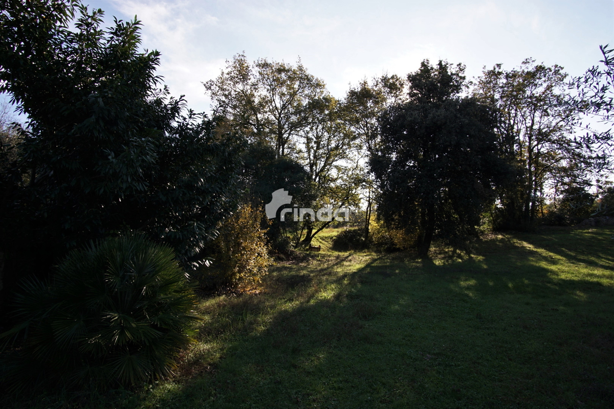 Casa legalizzata su terreno agricolo - Rovigno - 200m2 + (3000m2)- Prezzo ridotto