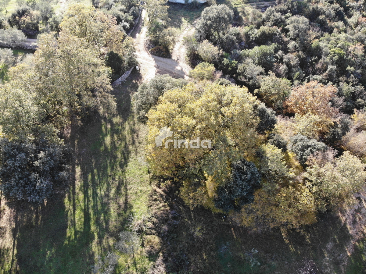 Casa legalizzata su terreno agricolo - Rovigno - 200m2 + (3000m2)- Prezzo ridotto