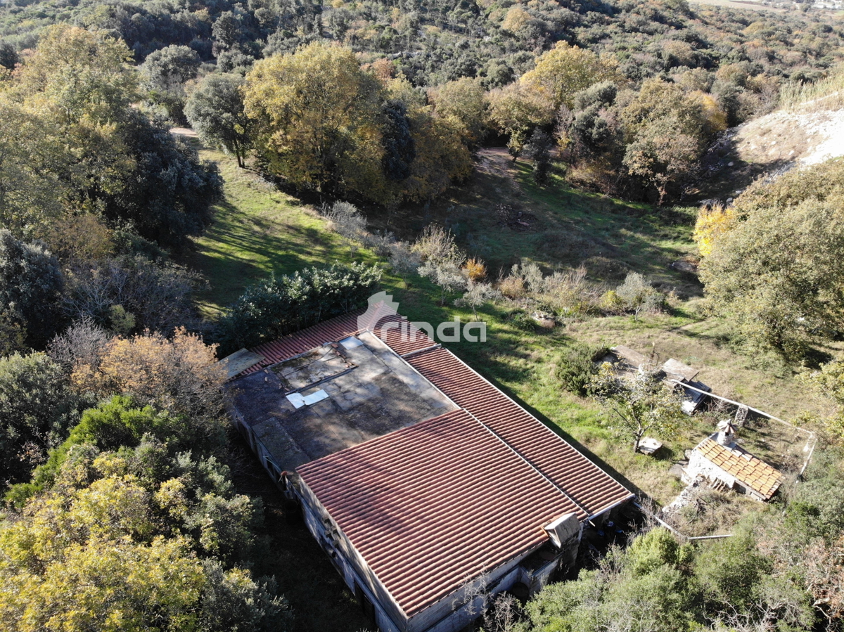 Casa legalizzata su terreno agricolo - Rovigno - 200m2 + (3000m2)- Prezzo ridotto