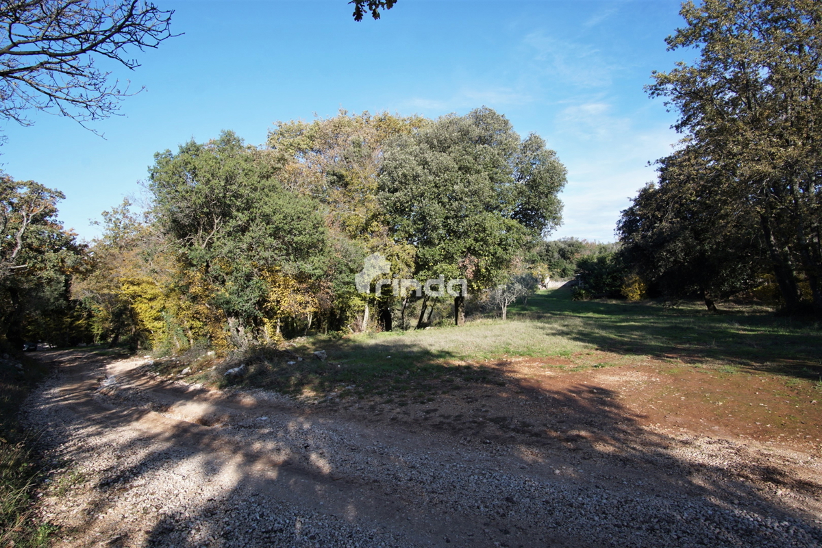 Casa legalizzata su terreno agricolo - Rovigno - 200m2 + (3000m2)- Prezzo ridotto