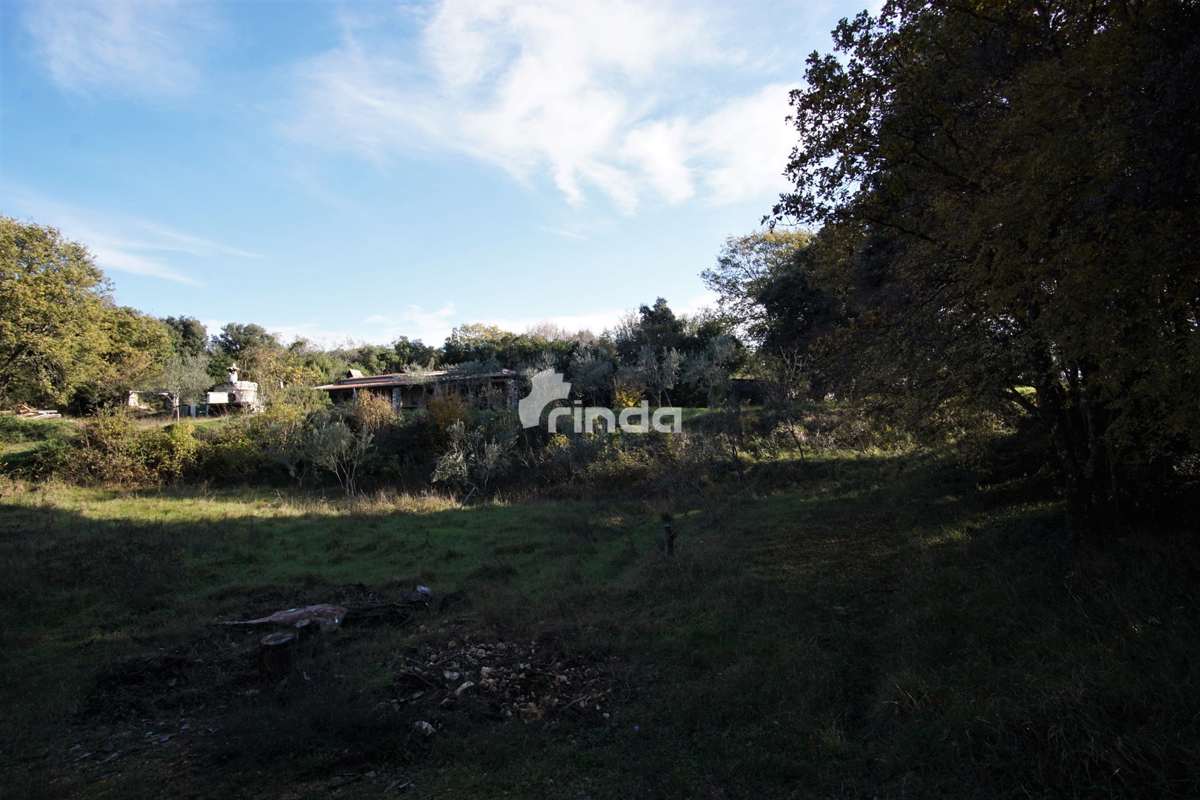 Casa legalizzata su terreno agricolo - Rovigno - 200m2 + (3000m2)- Prezzo ridotto