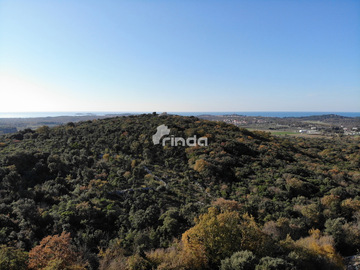 Casa legalizzata su terreno agricolo - Rovigno - 200m2 + (3000m2)- Prezzo ridotto