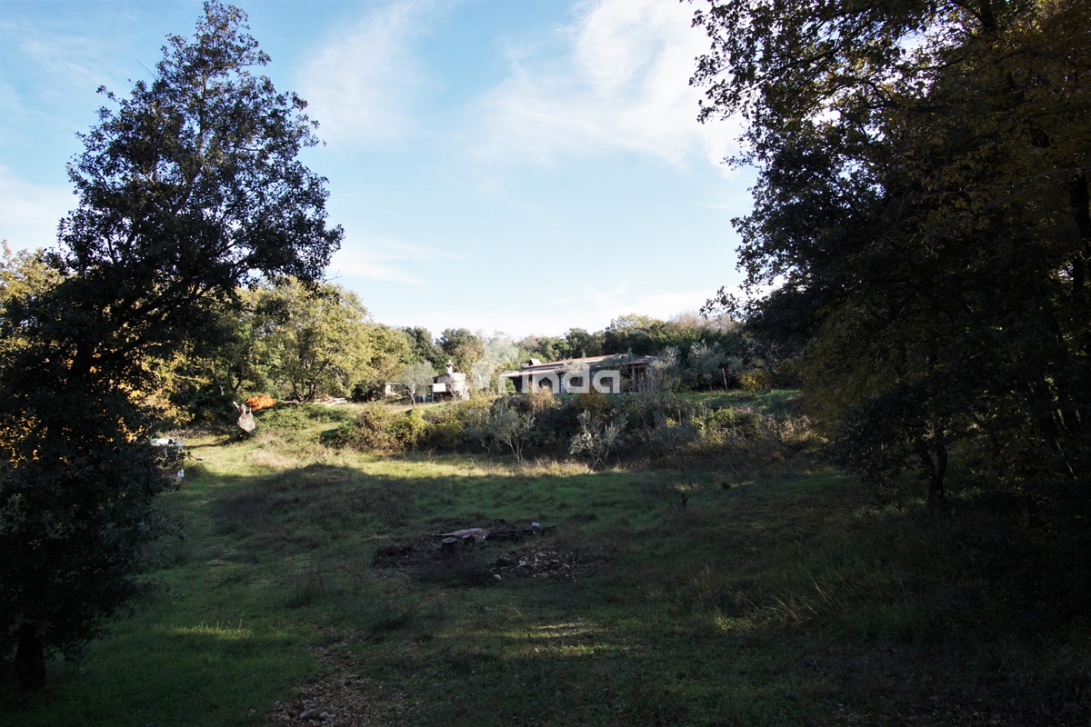 Casa legalizzata su terreno agricolo - Rovigno - 200m2 + (3000m2)- Prezzo ridotto