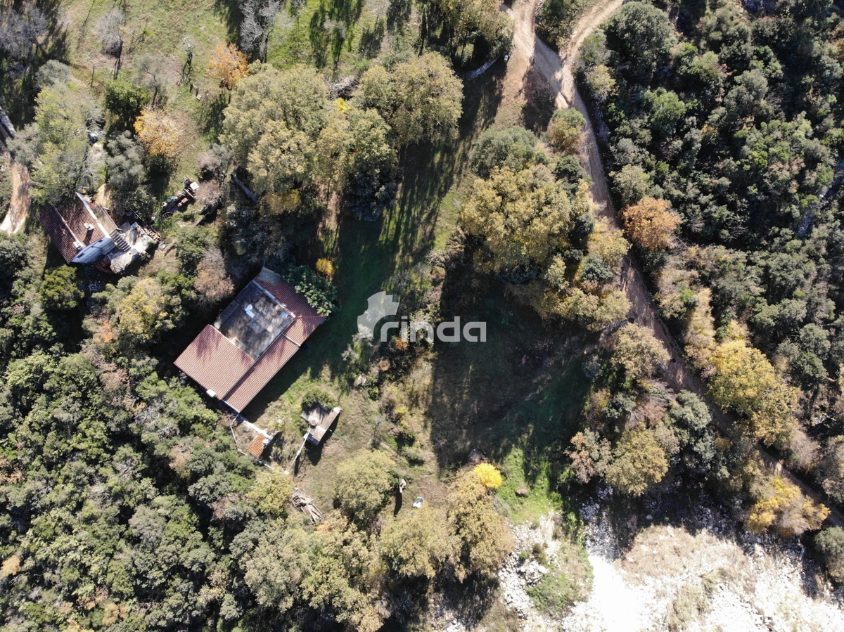 Casa legalizzata su terreno agricolo - Rovigno - 200m2 + (3000m2)- Prezzo ridotto