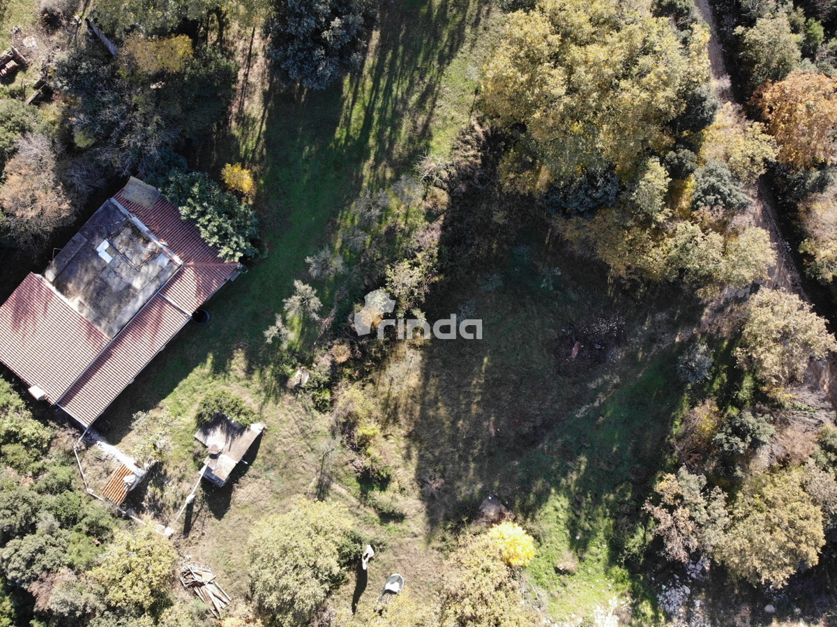 Casa legalizzata su terreno agricolo - Rovigno - 200m2 + (3000m2)- Prezzo ridotto