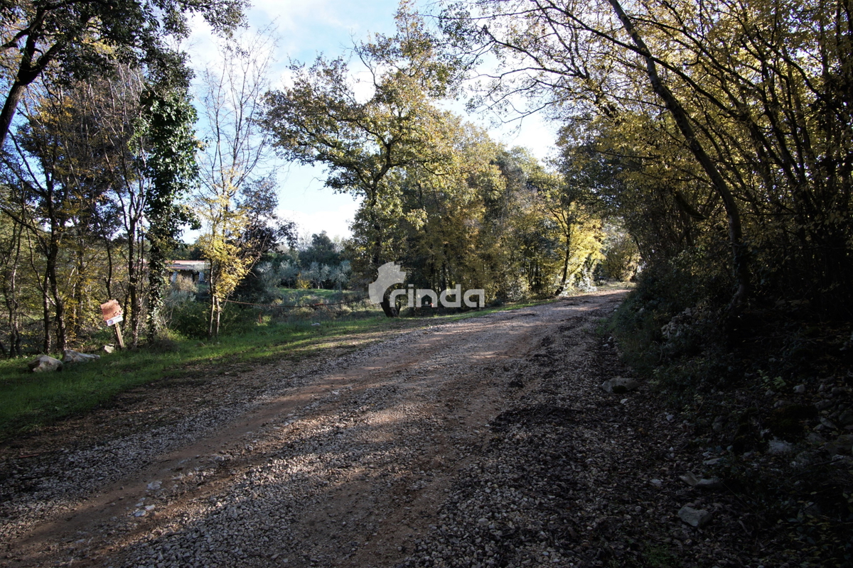 Casa legalizzata su terreno agricolo - Rovigno - 200m2 + (3000m2)- Prezzo ridotto