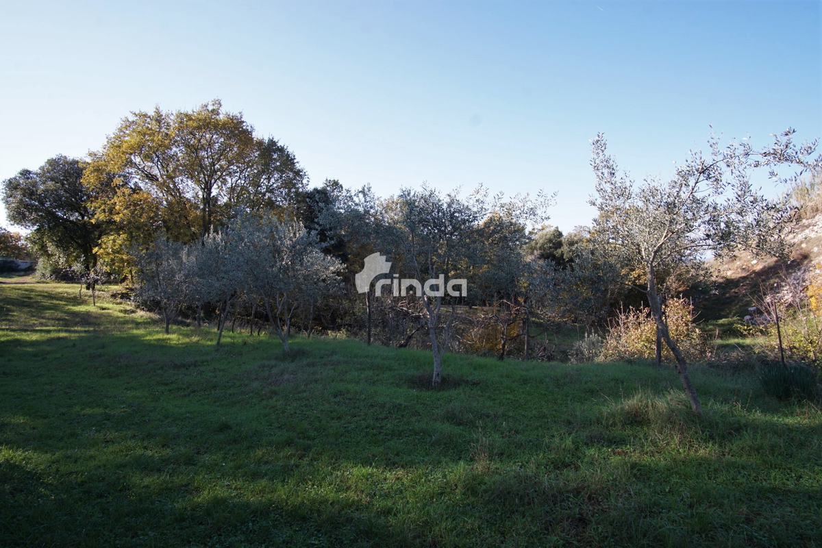 Casa legalizzata su terreno agricolo - Rovigno - 200m2 + (3000m2)- Prezzo ridotto