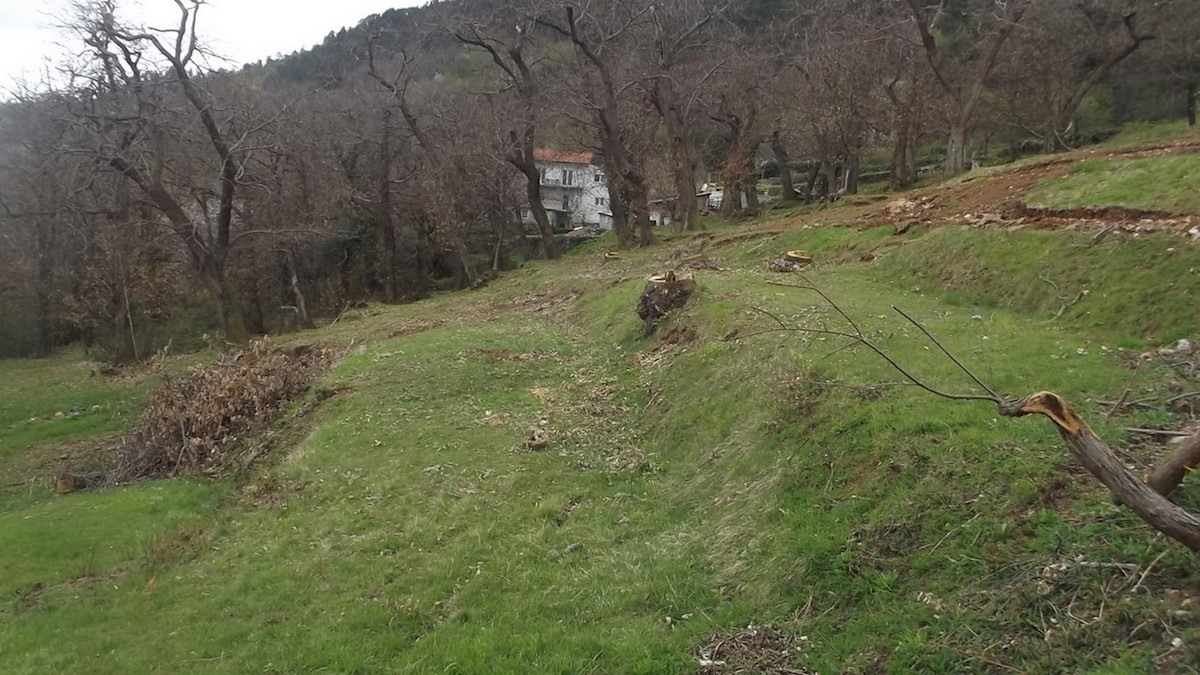 Terreno edificabile con vista mare