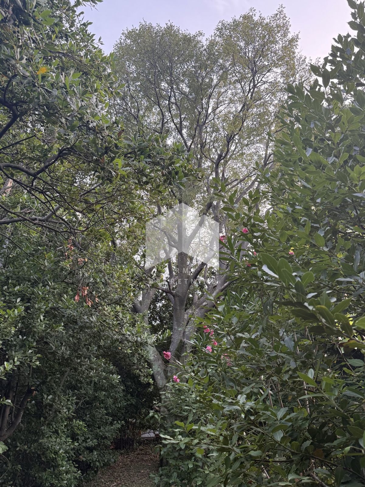 Casa Dramalj, Crikvenica, 650m2