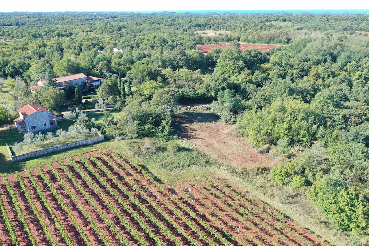 Istria, Poreč, terreno edificabile nei dintorni di Poreč