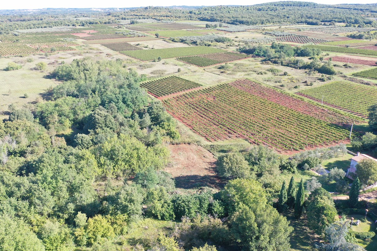 Istria, Poreč, terreno edificabile nei dintorni di Poreč