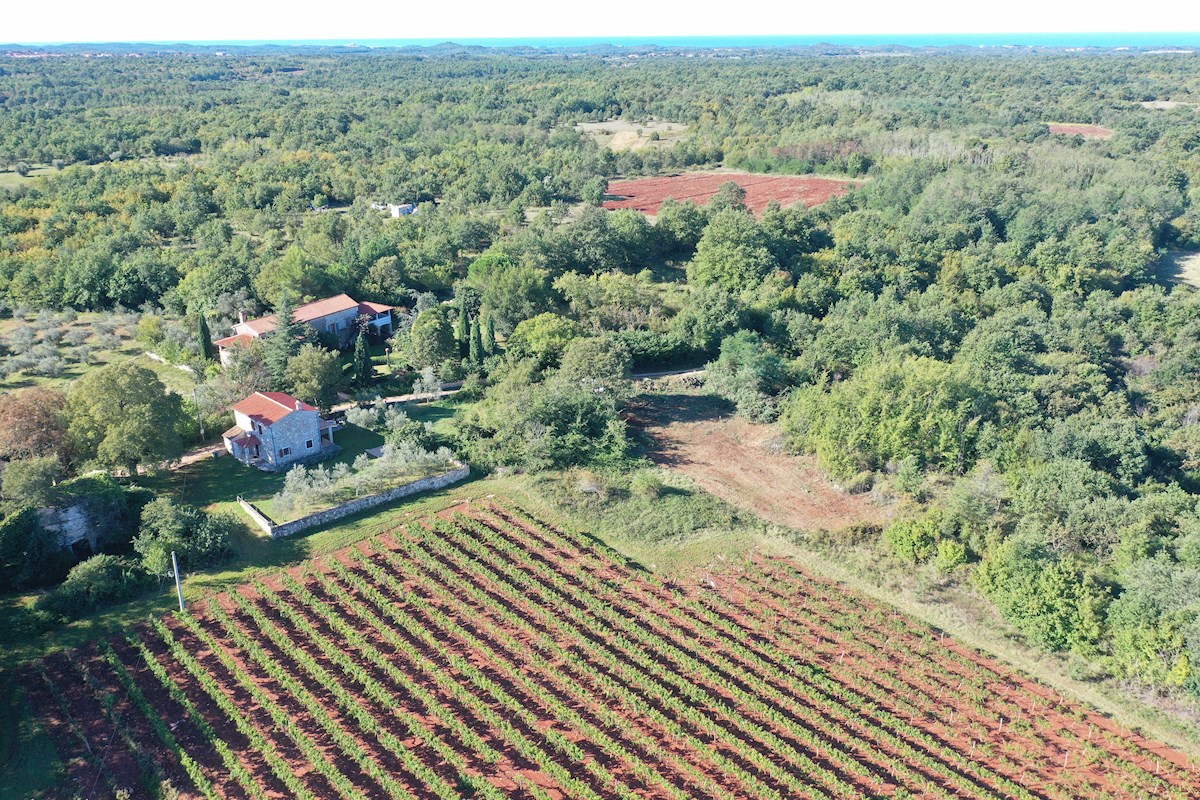 Istria, Poreč, terreno edificabile nei dintorni di Poreč